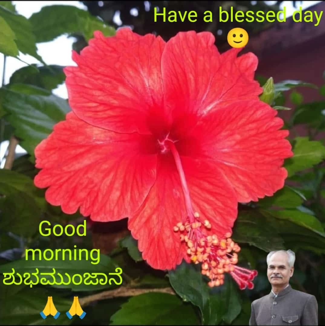 BanakarNagappa's tweet photo. https://t.co/cuHS31MWF5