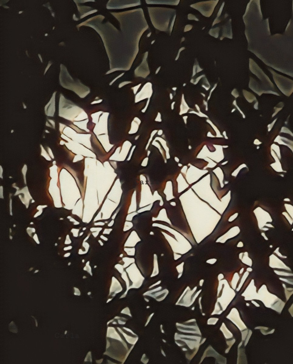 camera_bird's tweet photo. #Moon https://t.co/GwkuWiUdGD
