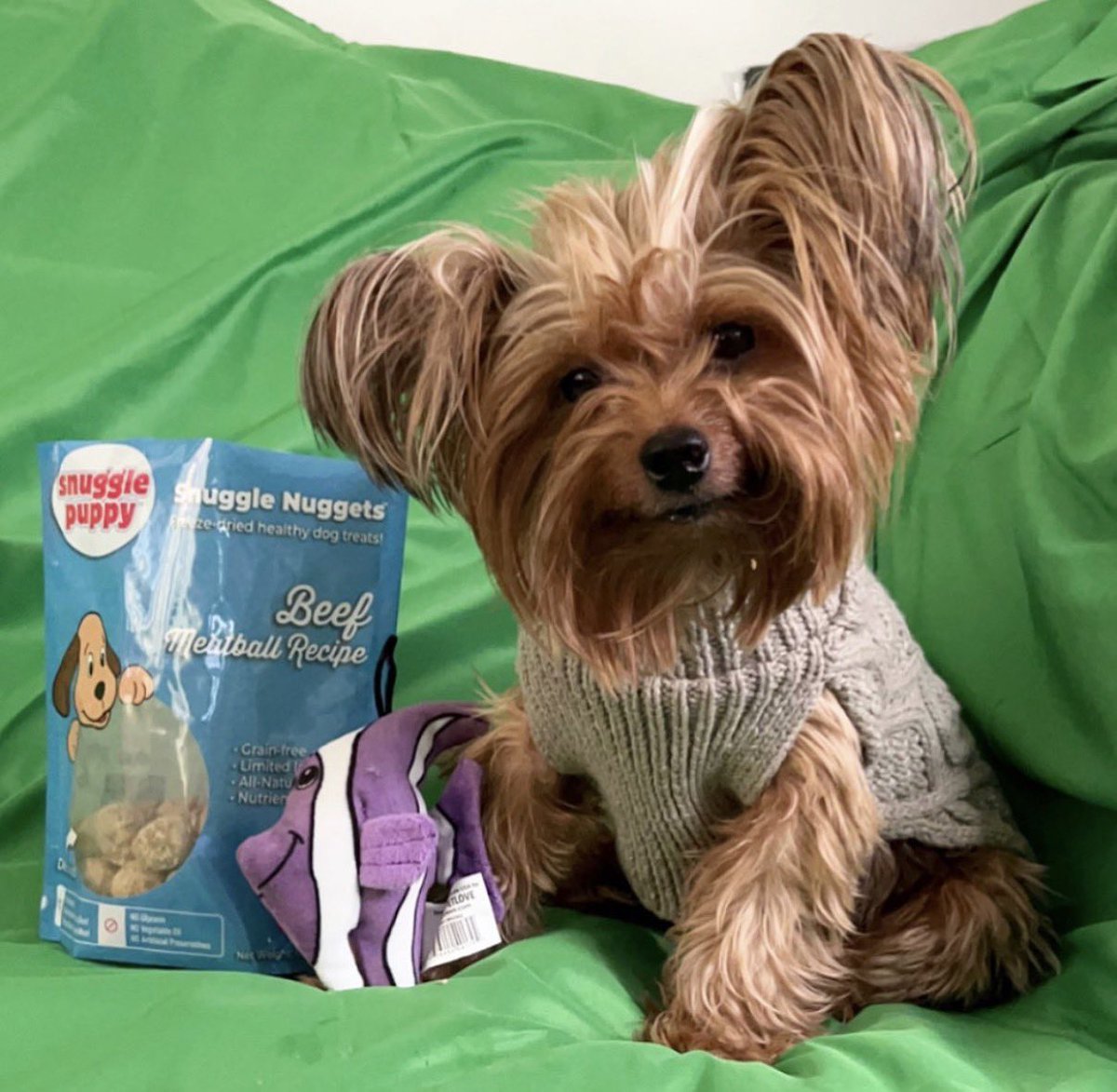 LondynRose1014's tweet photo. If anyone doesn't want their X money feel free to send it here, lol. I will buy lots of toys and treats because those are very important! #xmoney #cutedogs #dog #dogsofx #dogsoftwitter #dogsontwitter https://t.co/g2hQYnKssR