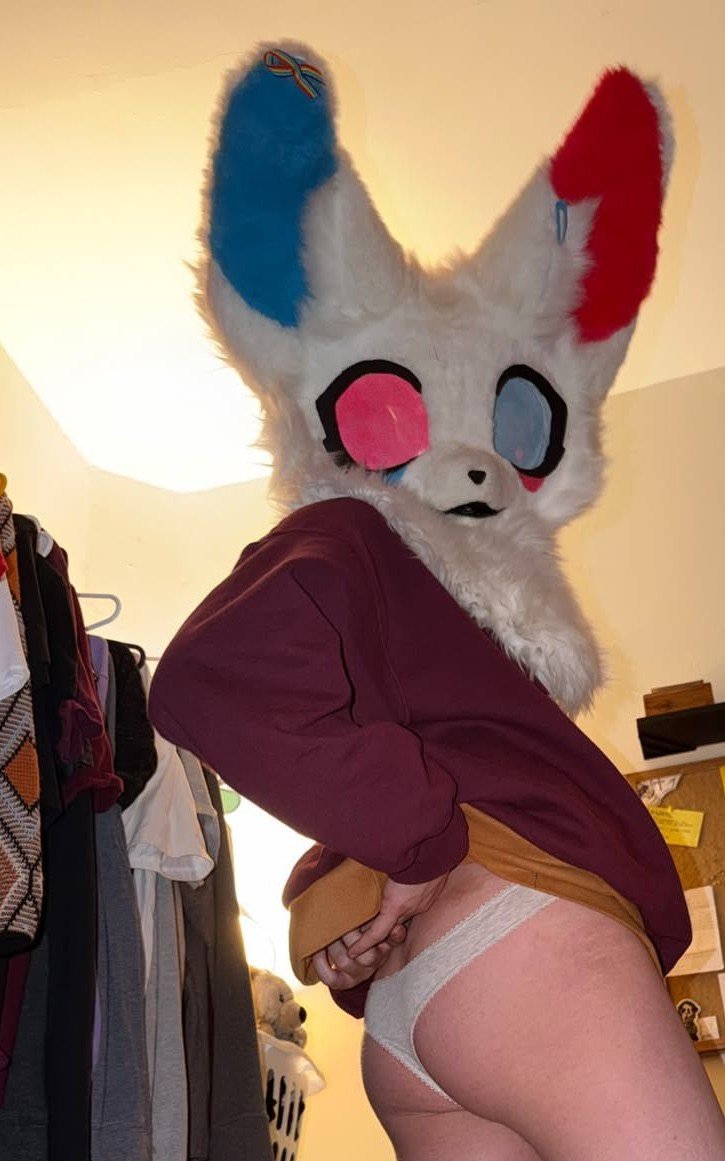 Thatunknownfem's tweet photo. Bunny wearing bunny panties ;3🥕 
#murrsuit #murrsuiter https://t.co/ZkeMcsyLI1
