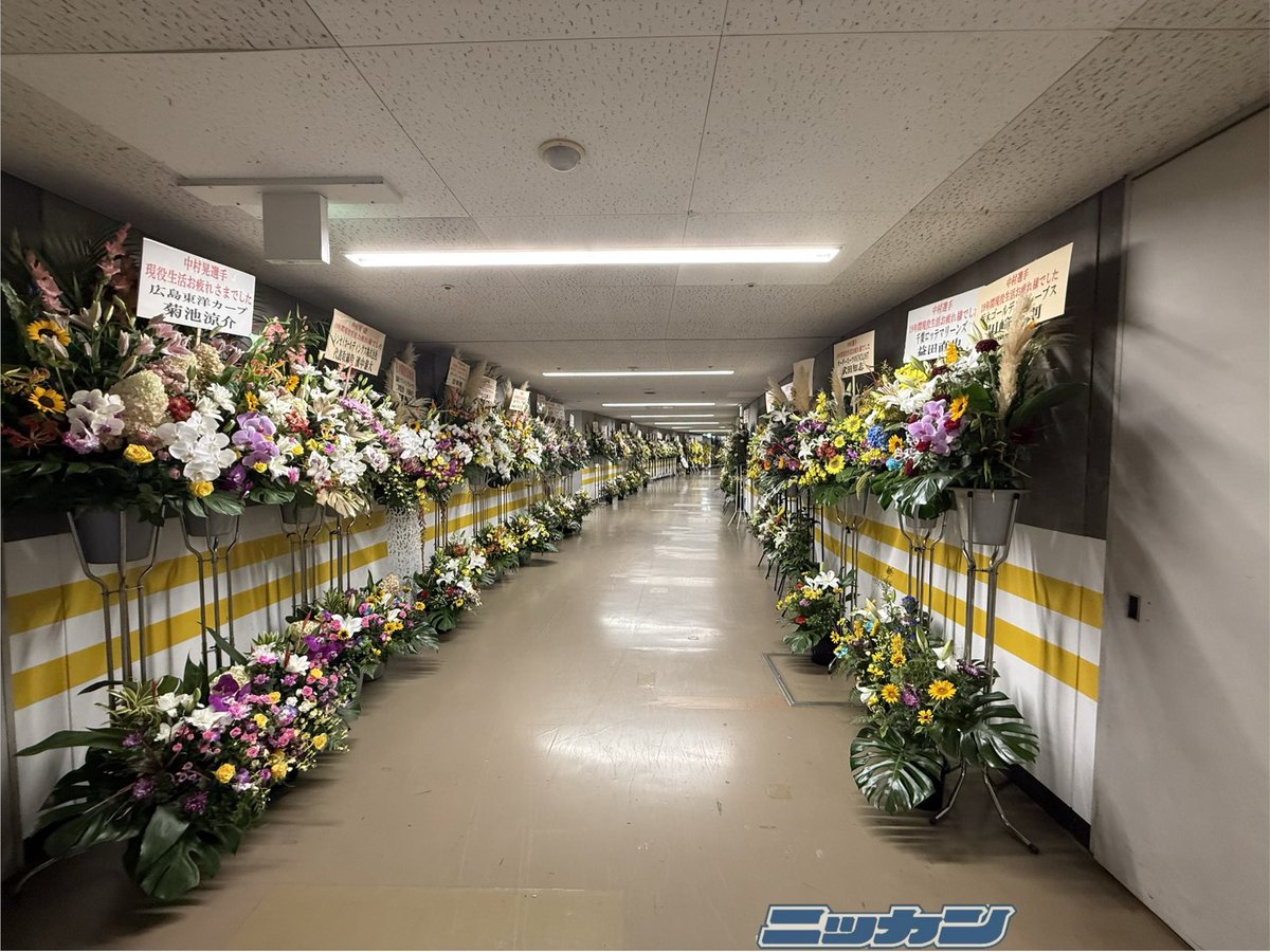 nikkan_hawks's tweet photo. 通路は花であふれています
#ソフトバンクホークス https://t.co/z5GNsam3wq