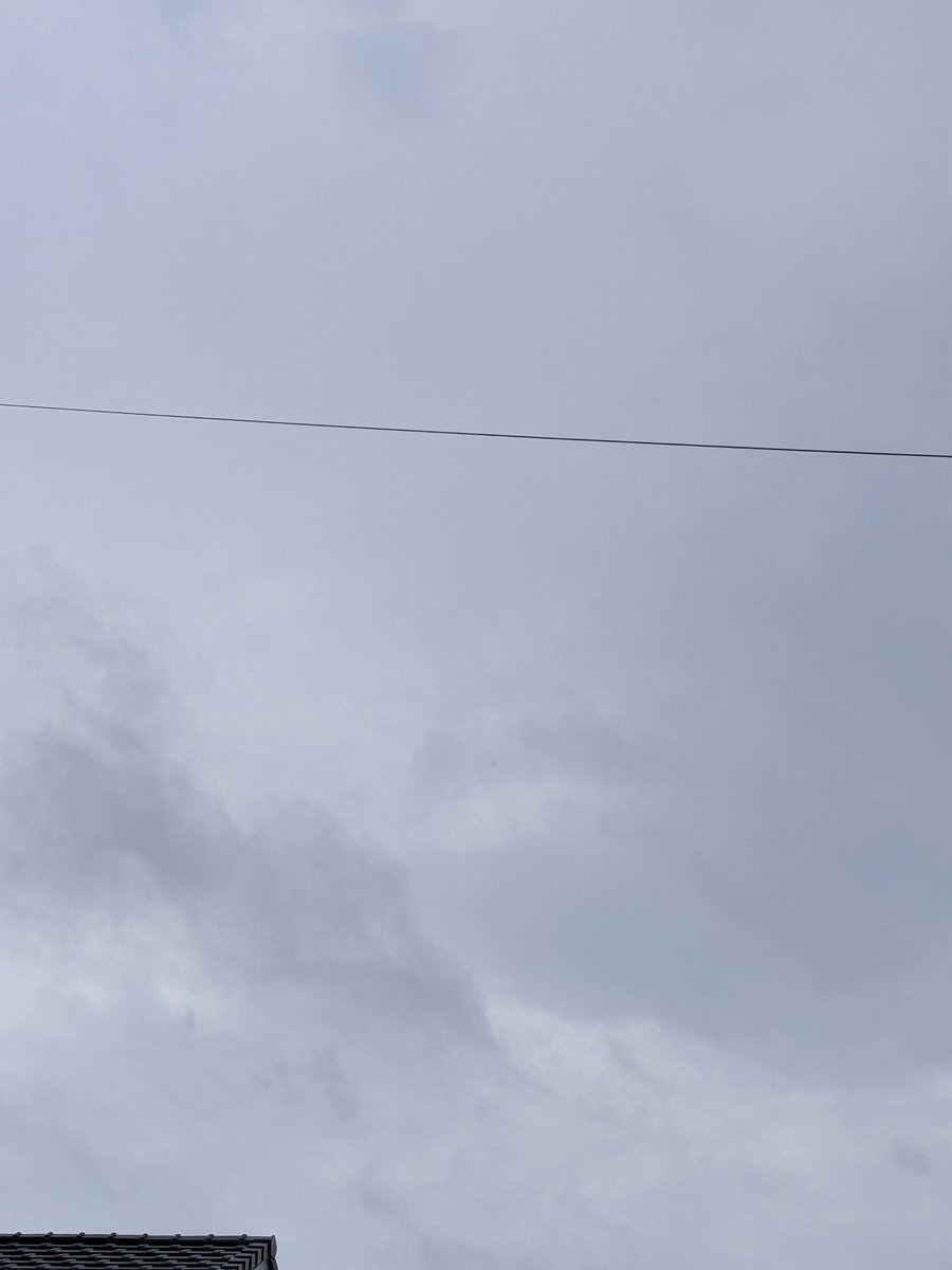 toshitaka3776's tweet photo. おはようございます
雨☂️今は止んでますが
また降ってきそう☔

#イマソラ 
#彼岸花 https://t.co/eYsqVVi9K7