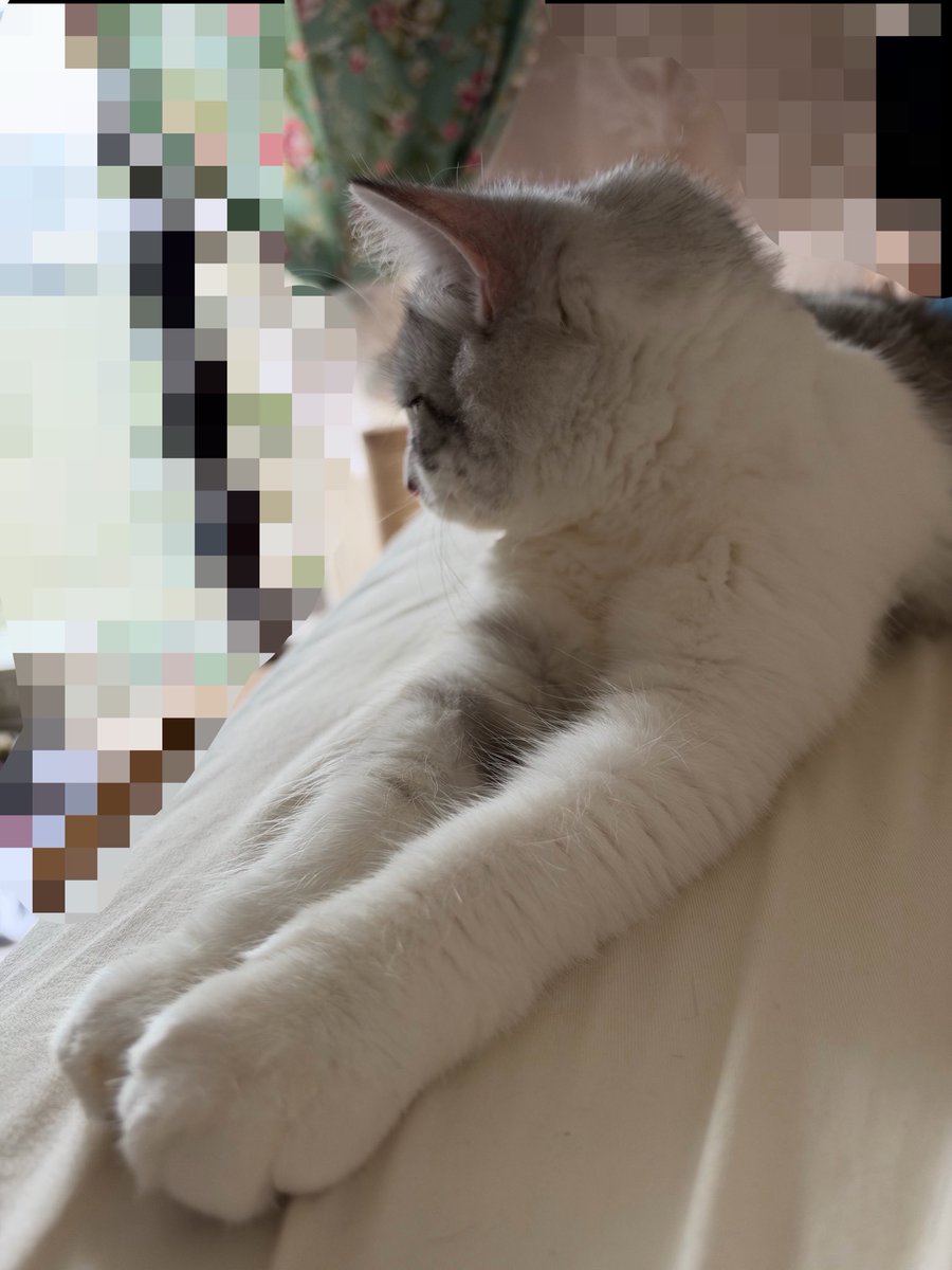 Belyusha tweet picture
