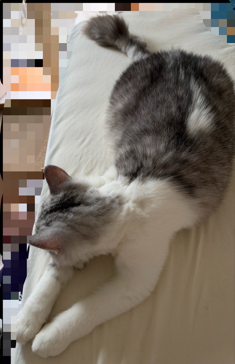 Belyusha tweet picture
