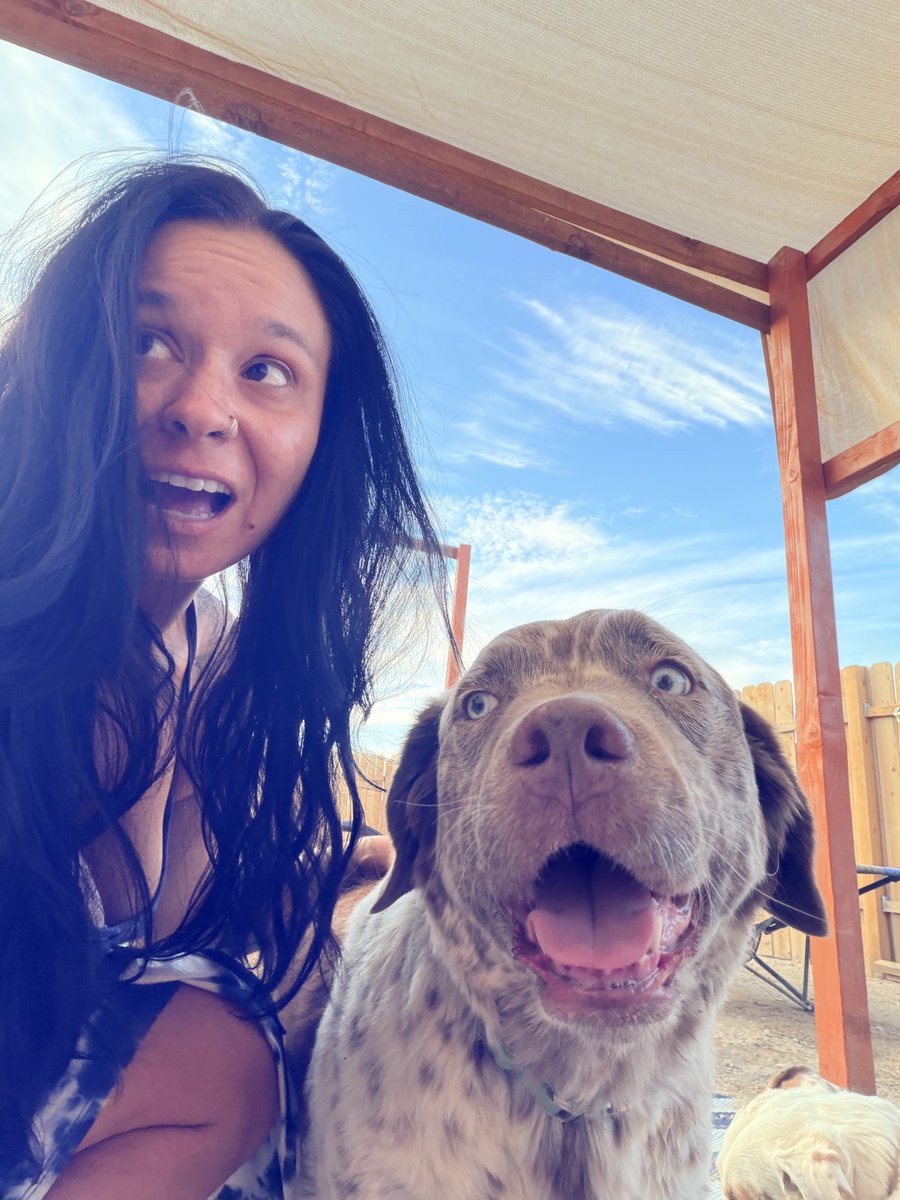 purseburrito's tweet photo. Part of the “making the same face as my dog” series https://t.co/bpNpxRgTd3