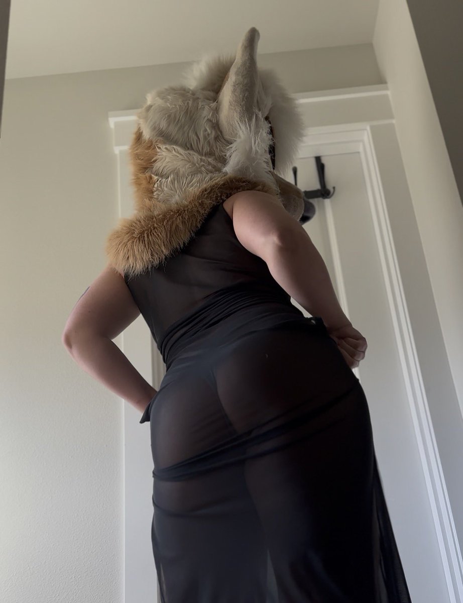 Cybercygil's tweet photo. Who’s howling at the full moon tonight? 👀 https://t.co/lhmR7yP9Rw
