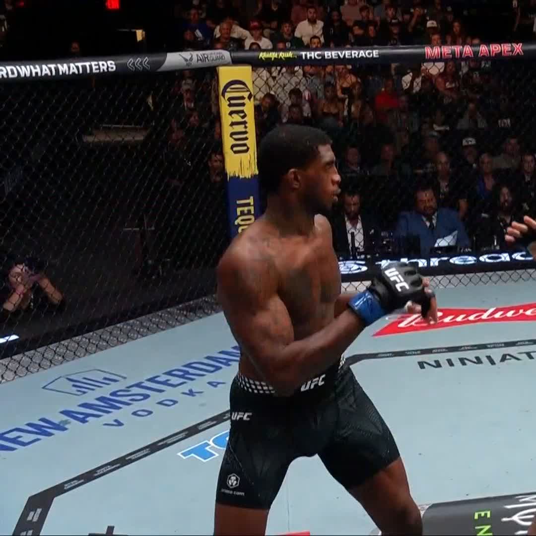 A muscular Black MMA fighter wearing black UFC shorts and blue-taped gloves celebrates inside the octagon at UFC Vegas 121, with visible sponsor text including "NEW AMSTERDAM VODKA," "Corona," "META APEX," "Budweiser," and "NINIAT" on the mat and cage. The scene captures the triumphant moment referenced in the post, where Luis Hernandez secures a first-round finish.