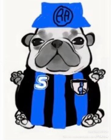 diegol1808's tweet photo. los amo @Club_Queretaro por ustedes le echo ganas a la vida https://t.co/FRfAH3zPS8