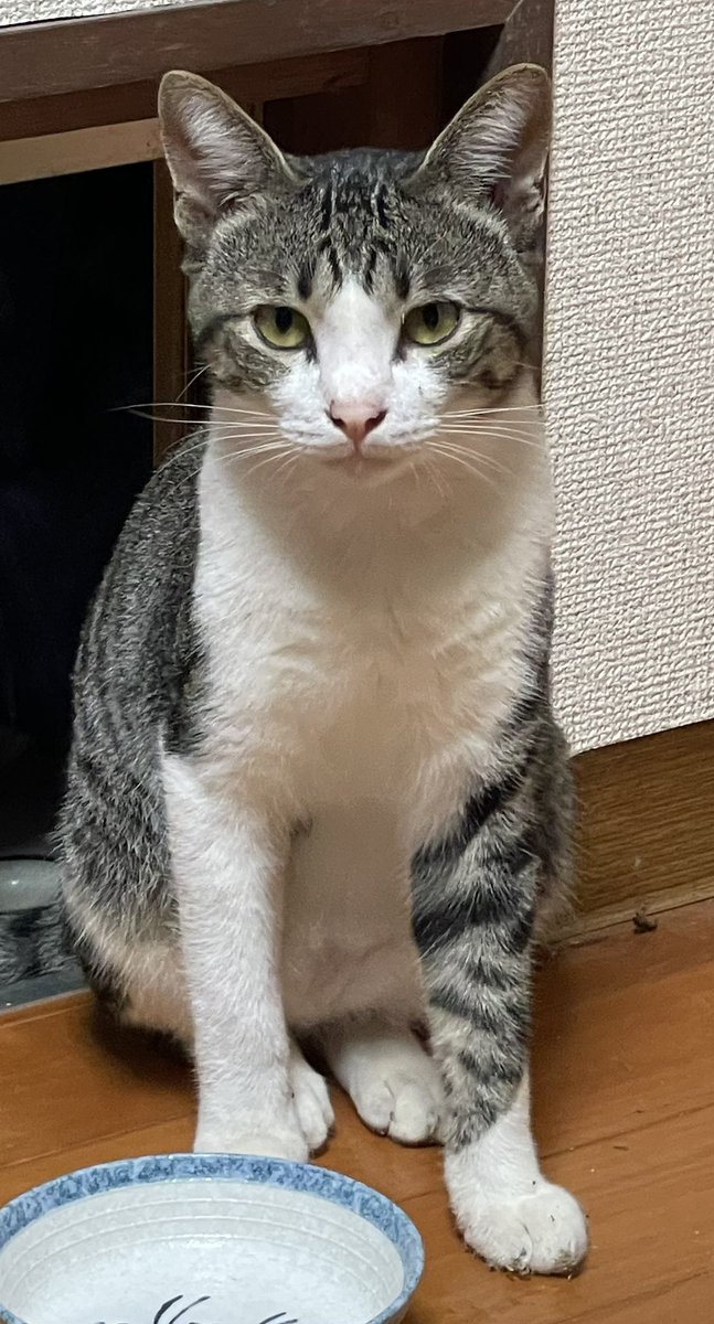 kitaponokinawa's tweet photo. 今年があと3か月ちょいしかもうないという、恐るべき事実… https://t.co/HYhQCvMqo3