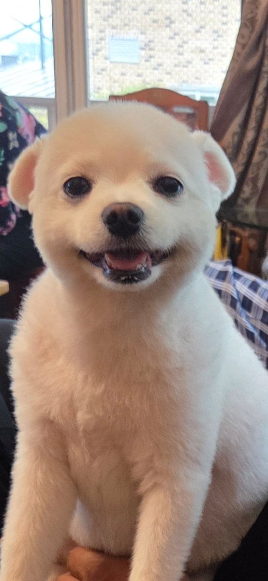 suofavorite's tweet photo. 커욤띠니 https://t.co/NpRvioX4Ic