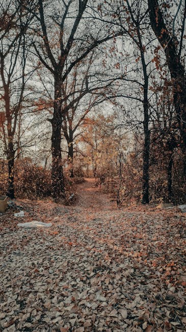 EricBarnes5d2h's tweet photo. 🍃🫡 https://t.co/wP1ZWbppYi