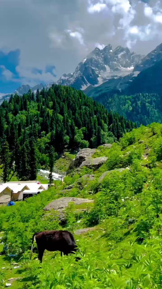 MarisolPro7ukp's tweet photo. Beautiful Kashmir. https://t.co/UTbZVt8C66