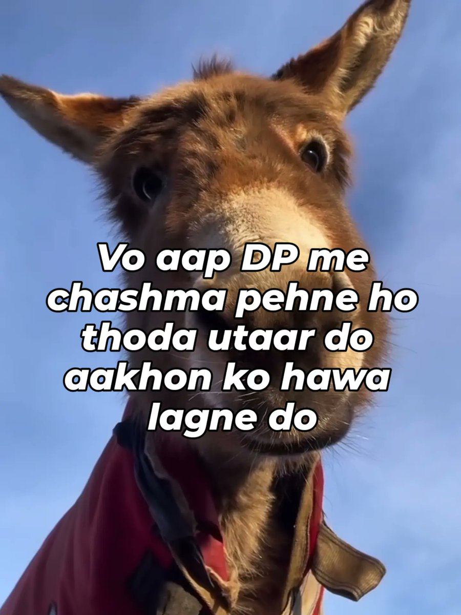 PetraHychenu's tweet photo. 😌 https://t.co/WqkNkgmRVS