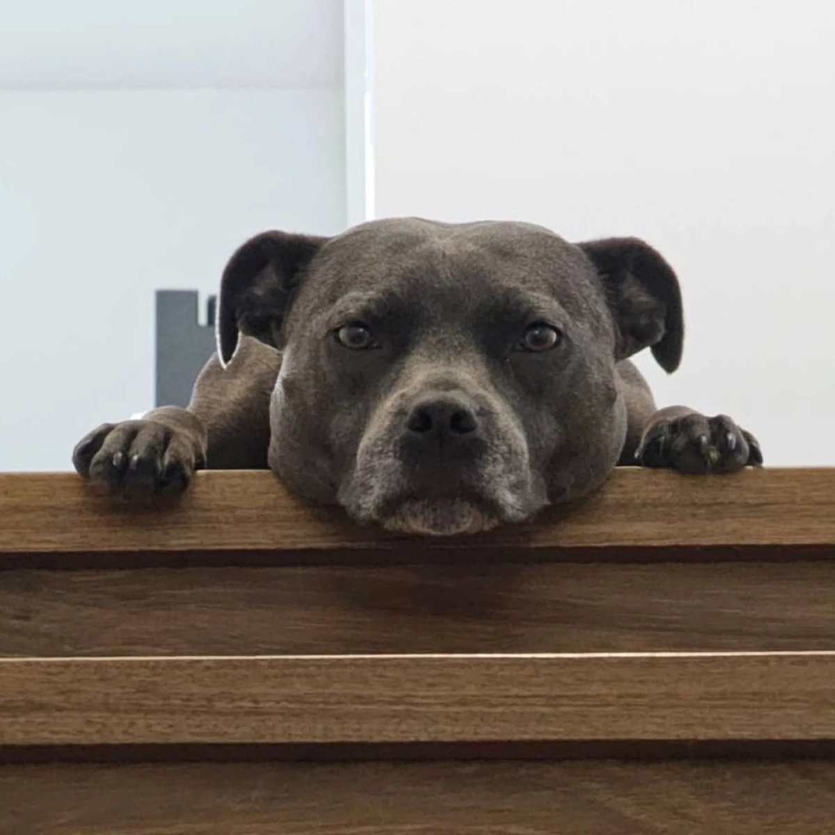 ErleneTrefbk's tweet photo. I’m always watching. https://t.co/v8jDSveFK3