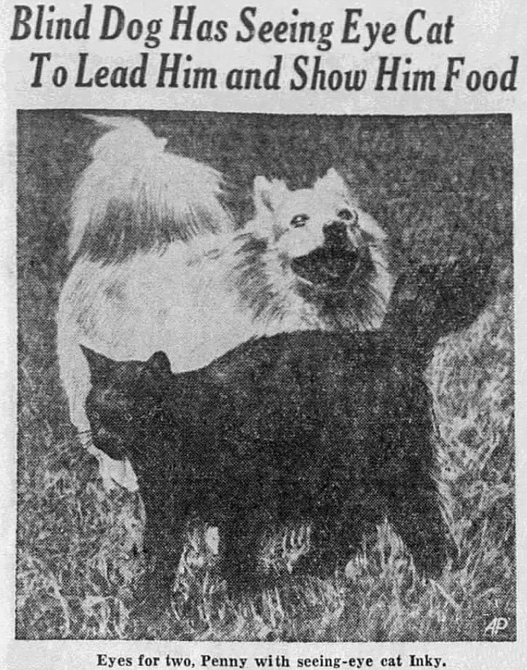 yesterdaysprint's tweet photo. The Central New Jersey Home News, New Brunswick, New Jersey, September 26, 1951 https://t.co/d9pJ11Sx9S