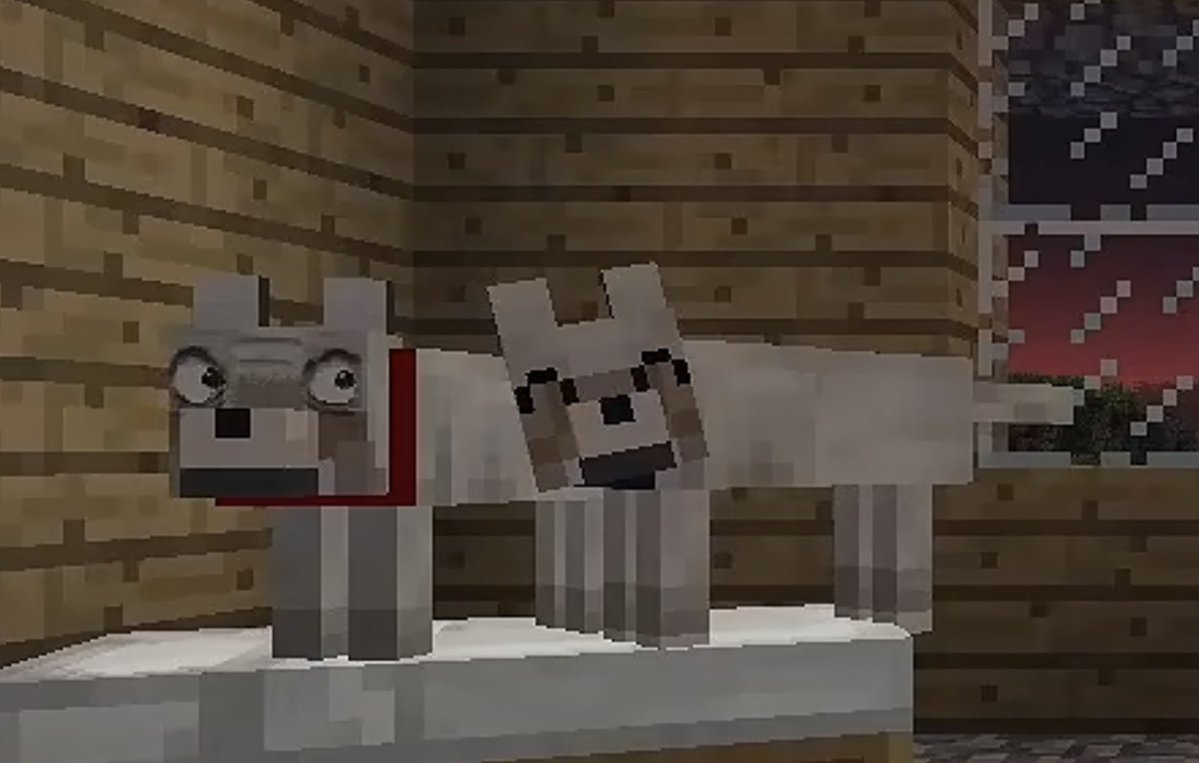 PLURPAWS's tweet photo. How it feels interacting with my closest friends https://t.co/D09yTfdhaV