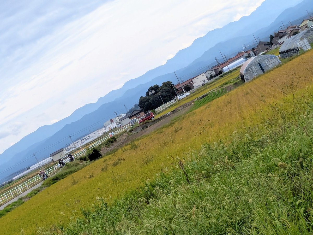 ginger373okan's tweet photo. 夜勤明けAM9時頃に小松入りして、スタバで腹ごしらえしたのが余計だったの〜🤣
臨時駐車場は全部満車！！💨💨
同じ事…考えてUターンして行く県外ナンバー反対車線は大渋滞🙄
小松基地へ向かう脇道は全部���鎖
やむなくオートキャンプ状態
＃イマソラ
#小松基地航空祭
＃空と友達
＃空がある風景
お仲間の🚙🚗10台位いるわ🥹