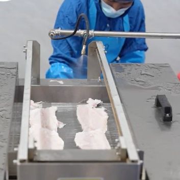 HongdaFood's tweet photo. 📦Ready-to-cook snakehead slices in neat packaging.
✅Pre-seasoned, time-saving for kitchen use.
💡Stable wholesale supply for restaurants.
#HongdaFoods ✨
#SnakeheadSlices💫
#FrozenSeafood🐟 https://t.co/hXxCxRw22J