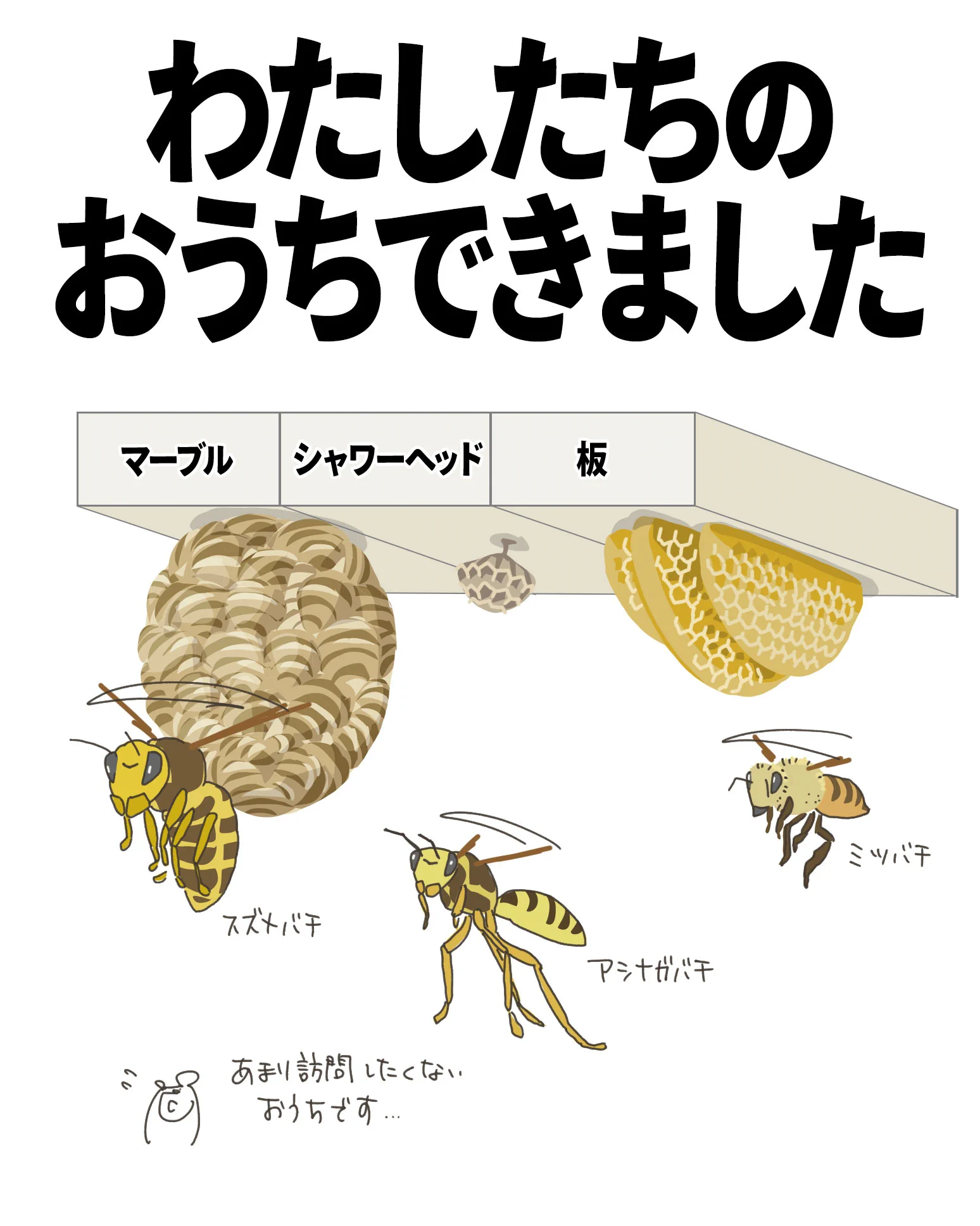 X-এ 自然ガイドのネタ帳: 