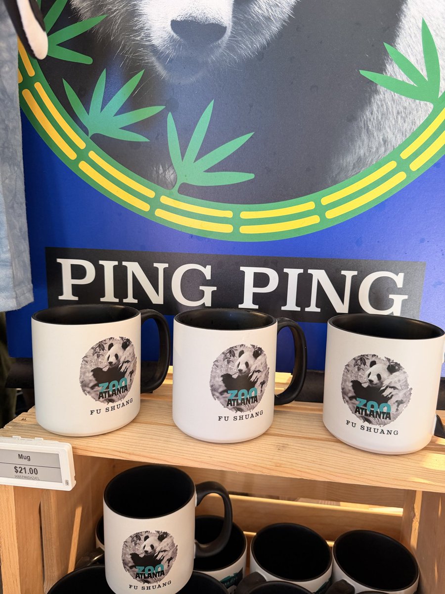 geekplux's tweet photo. 时隔两年动物园又要有熊猫🐼了

今天去看已经准备好迎接平平和福双了 https://t.co/5277oXzChX