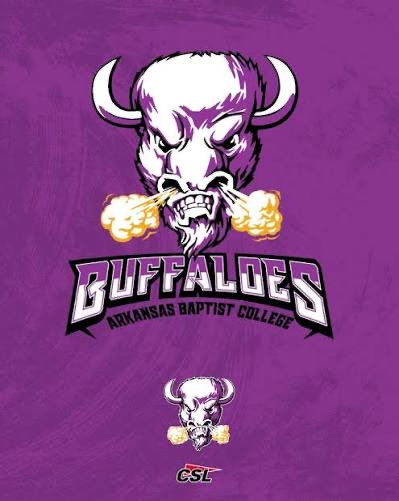 Jyrin_showtime's tweet photo. I am blessed to announce i have received my first offer from, Arkansas Baptist university #AGTG @coachbailey_abc @GBock24 @Coach_SandersQ @PrepRedzoneAR @abc_football @Diamondboyz7v7 https://t.co/2p1jSLpmu5