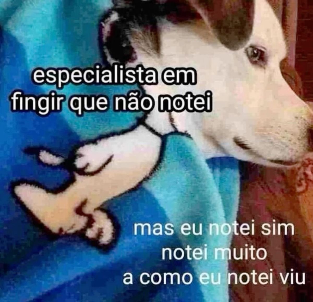 shitpostverdade's tweet photo. https://t.co/94zyBeoqzY