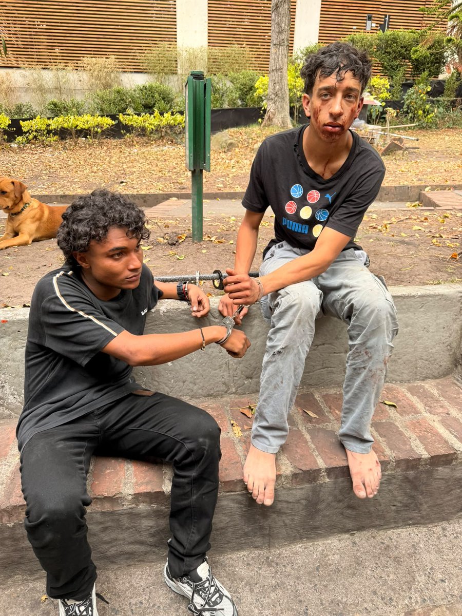 Sandra_ForeroR's tweet photo. Me llega esto de una amiga:
"Tengan cuidado con estos delincuentes que andan en moto y armados atracando con pistola 🔫 a mi me atracaron hoy a medio día frente a la iglesia de Torcoroma y me dispararon en la pierna 🦵 izquierda, uno se escapó y el otro lo tienen retenido a esperas del trámite para el denuncio".

Esto fue hoy por la tarde. Se volvió paisaje los atracos a mano armada en Bogotá.

@SeguridadBOG @Cesarestrepof @GAquinteroA @PoliciaBogota
@alcaldiausaquen
