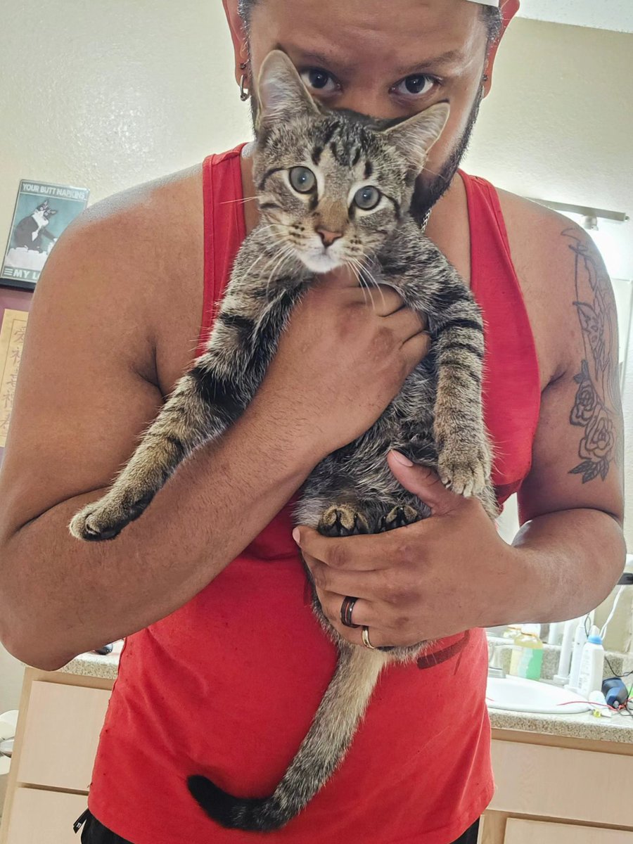 BeastMaster7110's tweet photo. And this is Klaus lol ๐ฑ
#Beastmaster #catdad #catdaddy #menwithcats #guyswithcats #gayswithcats #furbaby https://t.co/oggaWtjtfZ