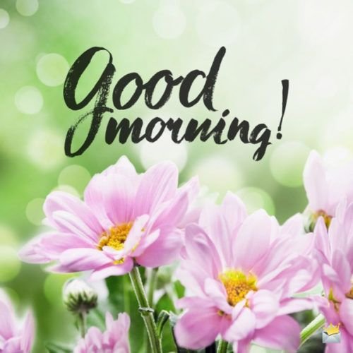 Waseem_Bugti1's tweet photo. السلام علیکم ورحمتہ اللہ وبرکاتہ 
صبح بخیر زندگی 🥀 https://t.co/Kvg9ojjSlJ