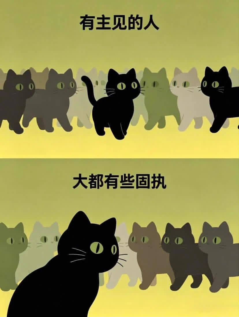 圣三一第一步枪🍥☣️⚢ в X: „傻傻的猫往往不聪明“ / X