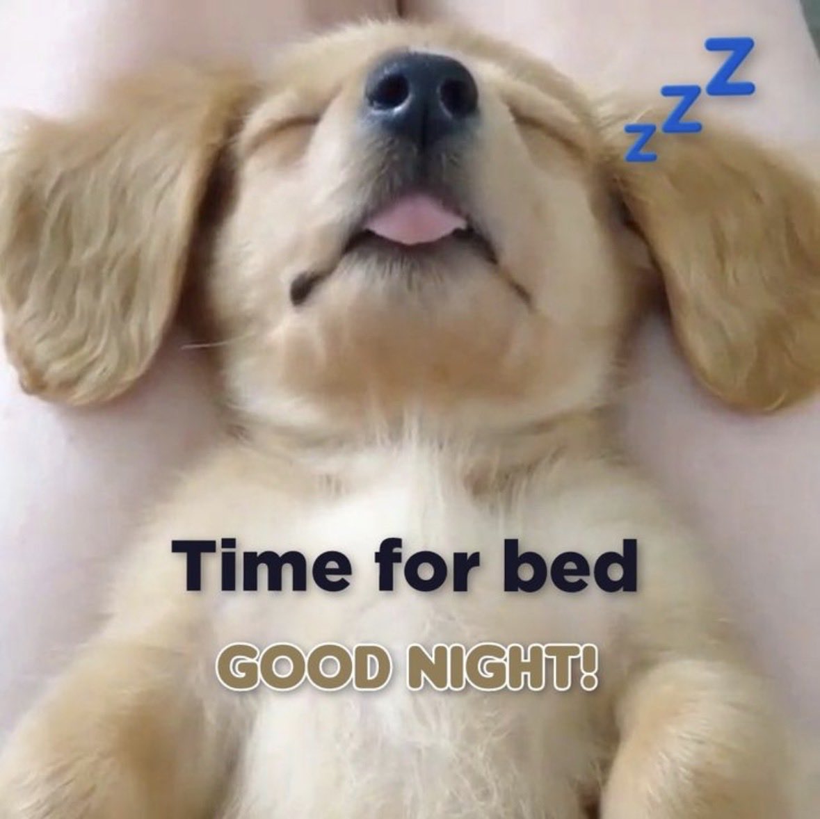 FutureWife2026's tweet photo. Time to veg with a movie and go to bed. Sweet dreams all y’all.  Dreaming of a better tomorrow! 💫 https://t.co/RKe1sGMH00