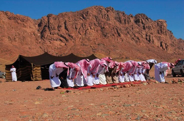 Yazeed22y's tweet photo. لايقعدن أحدكم عن طلب الرّزق ويقول اللهمّ ارزقني وقد علم أن السّماء لا تمطر ذهباً ولا فضة ، إنما يرزق الله الناس بعضهم من بعض .

عمر بن الخطاب (رضي الله عنه) https://t.co/AdGepXiFtc