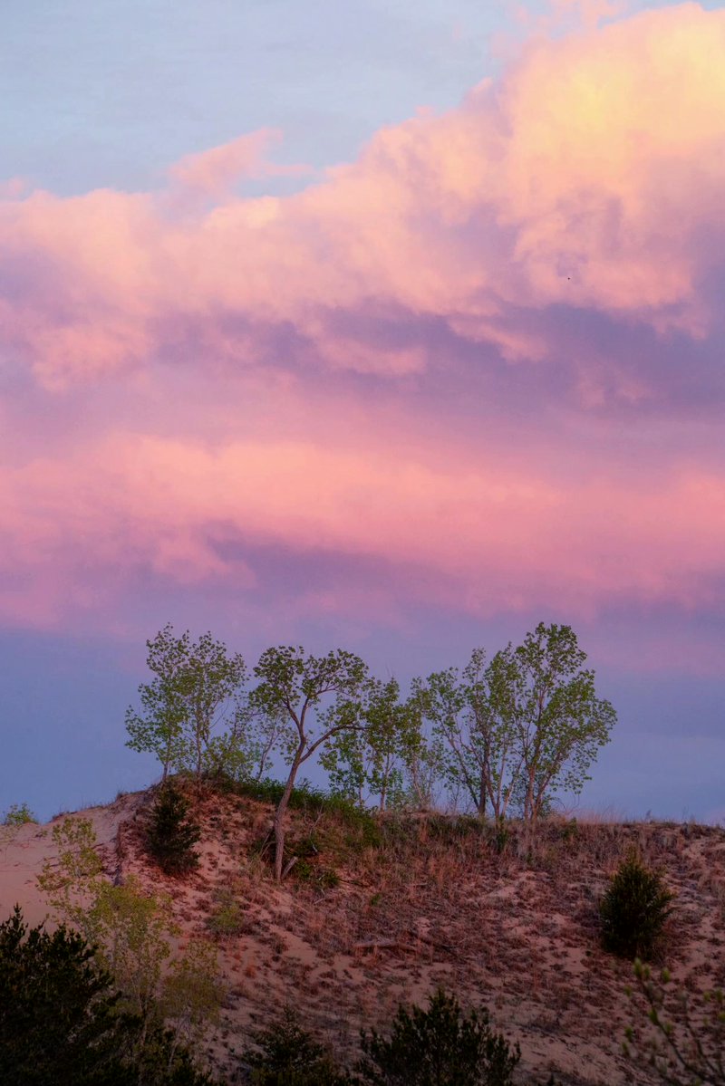 junknellycilv's tweet photo. Cotton Candy Clouds in Indian Dunes National Park
#TravelPhotography #Wanderlust https://t.co/avtWI27sl4