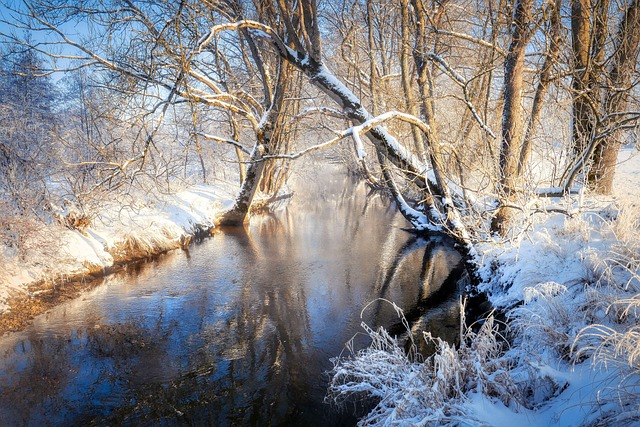 victorfew's tweet photo. Today felt softer than I expected because 🐺 some 💓 days just feel ⚡ different and I''m learning to flow with it https://t.co/kiIpbF9NqP