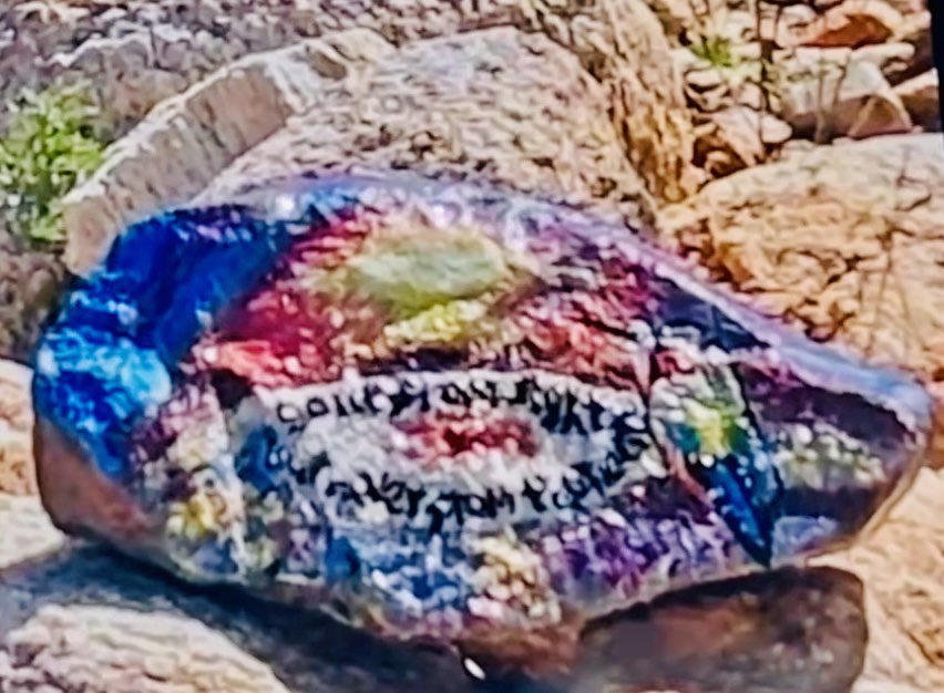 Shana__X__'s tweet photo. Hey Tucsonans, is this a new cactus growing? I’m asking because it’s about in the same place where the painted rock was seen and then disappeared in Marks the Sharks YouTube footage. 

1. Rock pic from @marktheshark943 
2. ? subject pic from Exploring with Jim @YouTube https://t.co/t0GxVZ6UnH