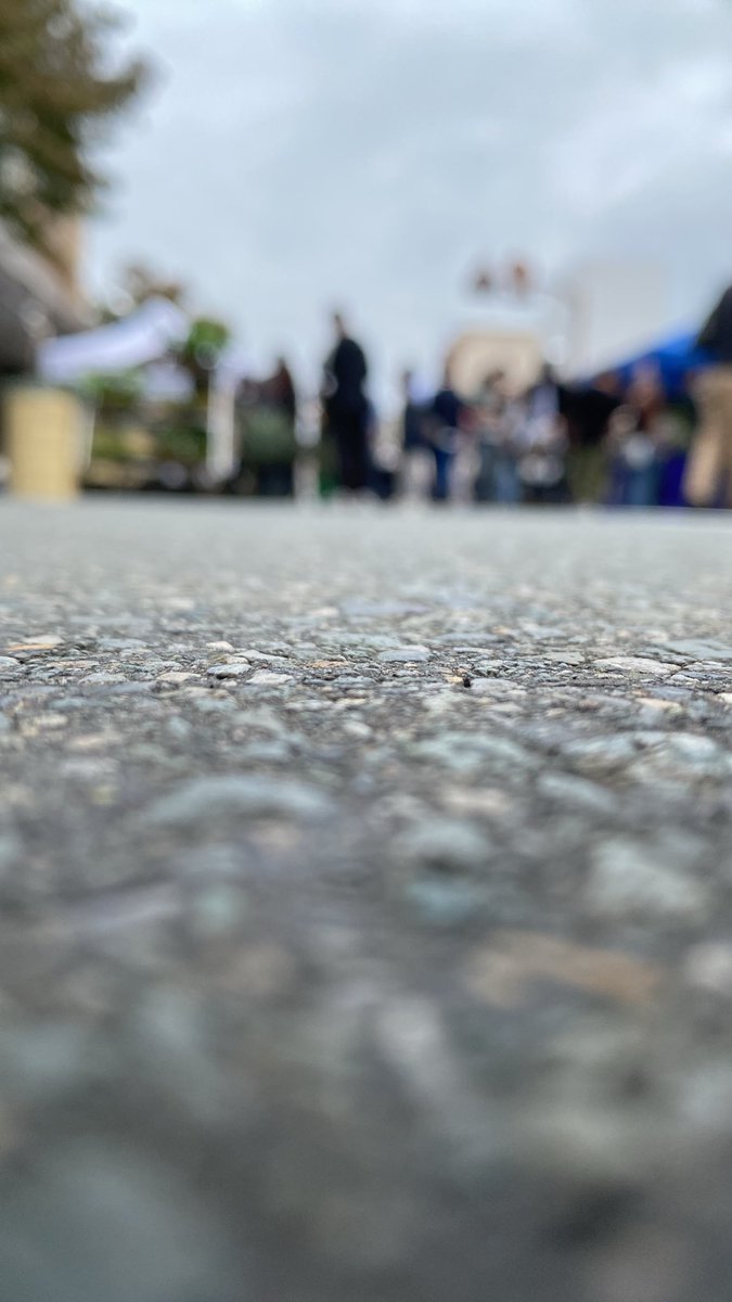 Anicul_shop's tweet photo. 【ご案内】
本日の「PLANTS SHOW」の会場、凄い賑やかに開催しております☆彡
15時までとなりますが、ぜひ出掛けみて下さいね･:*+.\(( °ω° ))/.:+ https://t.co/wPiMjtnzTy