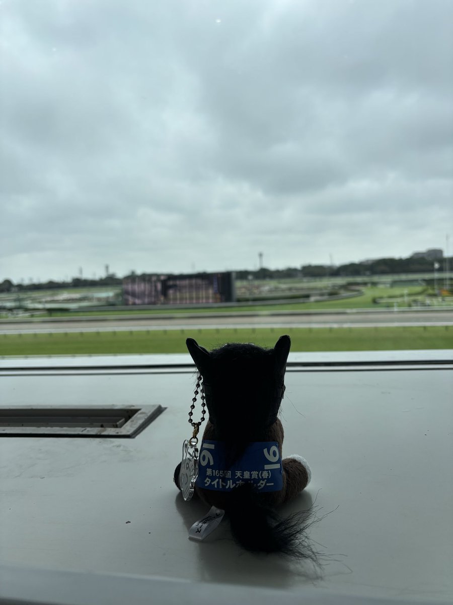 shiryu_07's tweet photo. 初めての最前列！
最終直線の迫力が最高です＼＼\\٩( 'ω' )و //／／ https://t.co/u4xJkWAC00