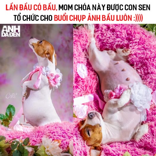 Eloisesix's tweet photo. Đường chân trời ở phía Tây, khi hoàng hôn buông xuống, tạo nên một bức tranh tuyệt đẹp với sắc cam và đỏ rực rỡ. https://t.co/JlMqANKyHo