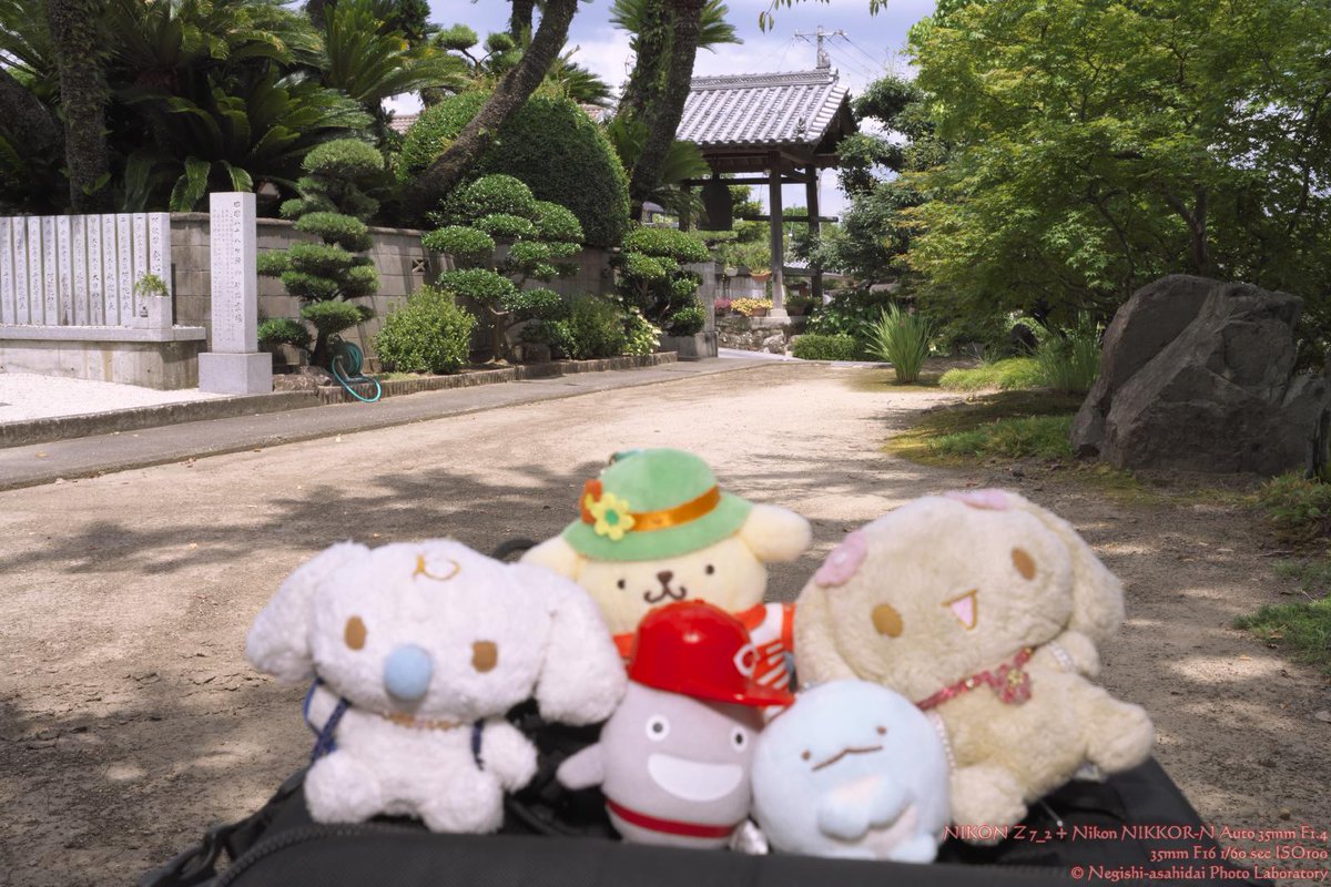 toq8247's tweet photo. 和歌山線小駅散歩 大谷編。
2023-7-21 大谷(周辺)
(和歌山県伊都郡かつらぎ町大谷)
#和歌山線 #大谷駅 https://t.co/WvB377HdcJ