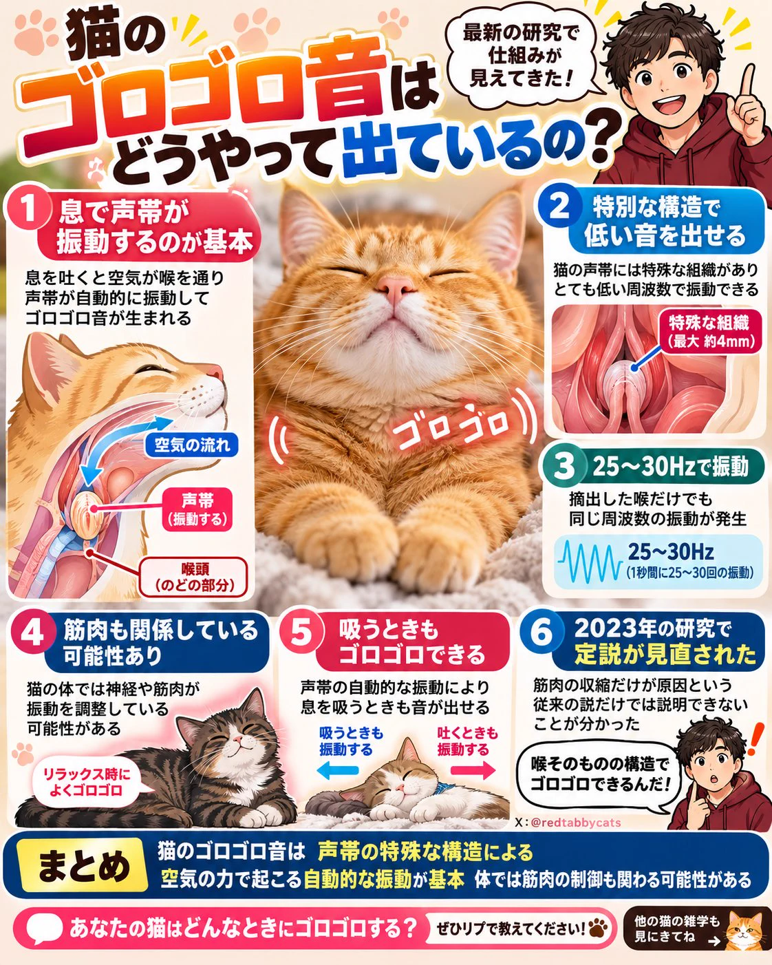 茶とらーず😽猫の役立つ情報発信 (@redtabbycats) / X