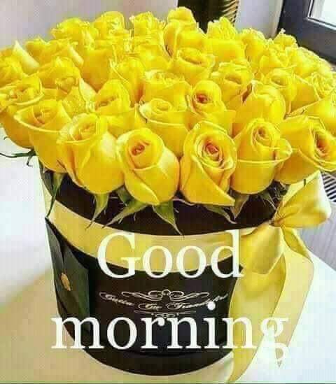 ajaynayan2's tweet photo. @shalinigudiya https://t.co/Ly7TtaDiCk