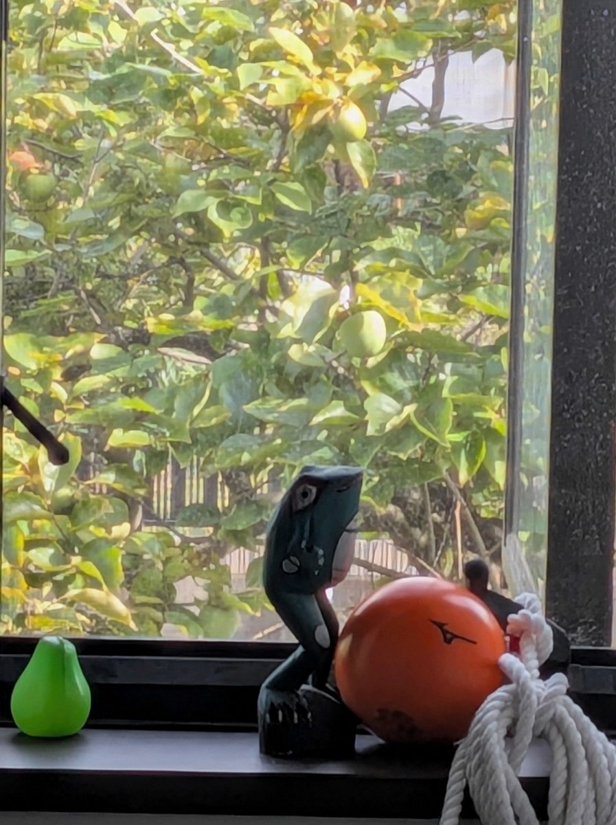 tekonceptz's tweet photo. めっちゃわかる
東京は住むとこじゃないとか…
こちらからしたら勝手に来て文句言うなら帰って欲しい https://t.co/hXNPi7sNBz