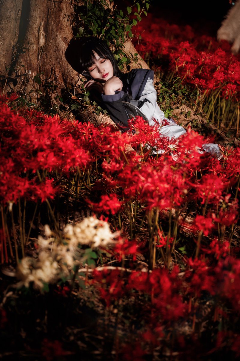 ama092a's tweet photo. コス注意

まどマギ
明美ほむら

私は繰り返す…
何度も繰り返す…

📸シンさん　@shin0822sh https://t.co/05MYSyMWqi