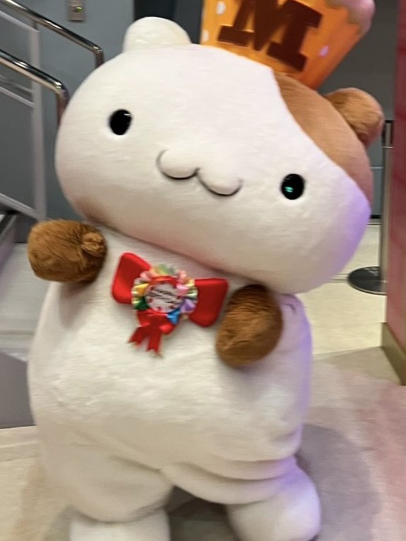 Li1pe2k's tweet photo. 天才的なかわいさ😭😭😭 https://t.co/F1x7YhbzAg