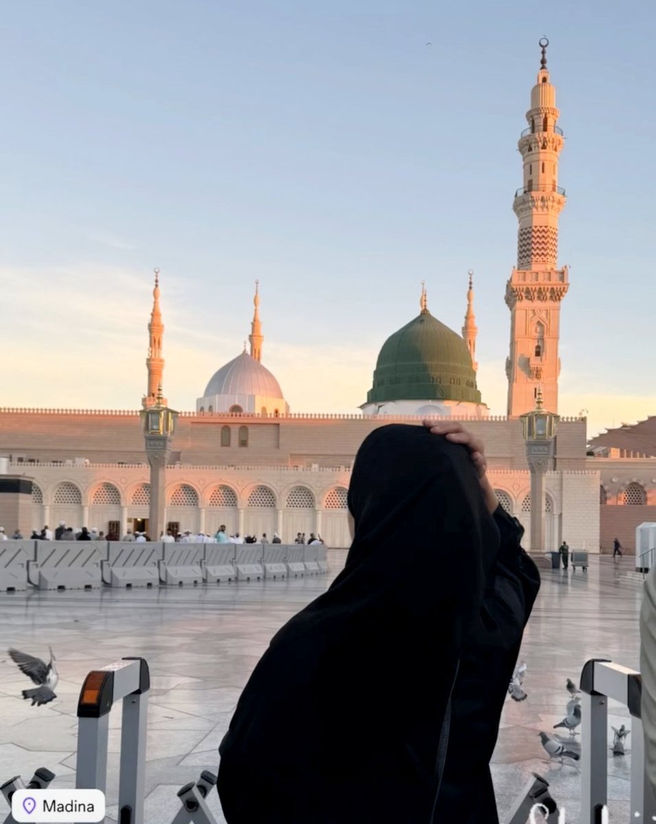 _Alishba_04's tweet photo. لب پر ہے بس یہی ایک فریاد یا نبی ﷺ 🤲
کب ہوگا اس غلامہ  کو دیدار مدینہ😭

نظروں میں بس گیا ہے خیال مدینہ❤️‍🩹  
دل ڈھونڈتا ہے صبح و شام مدینہ🥹

صلی اللّٰہ علیہ وآلہ واصحابہ وبارک وسلم 🌺 💐 💗 

#ملنگ_قبیلہ https://t.co/TaUdf1hLEK