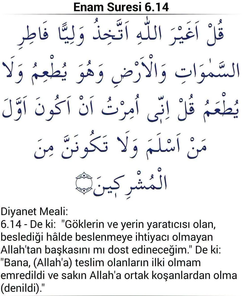 brahim196165911's tweet photo. https://t.co/lRwsfHn9kA