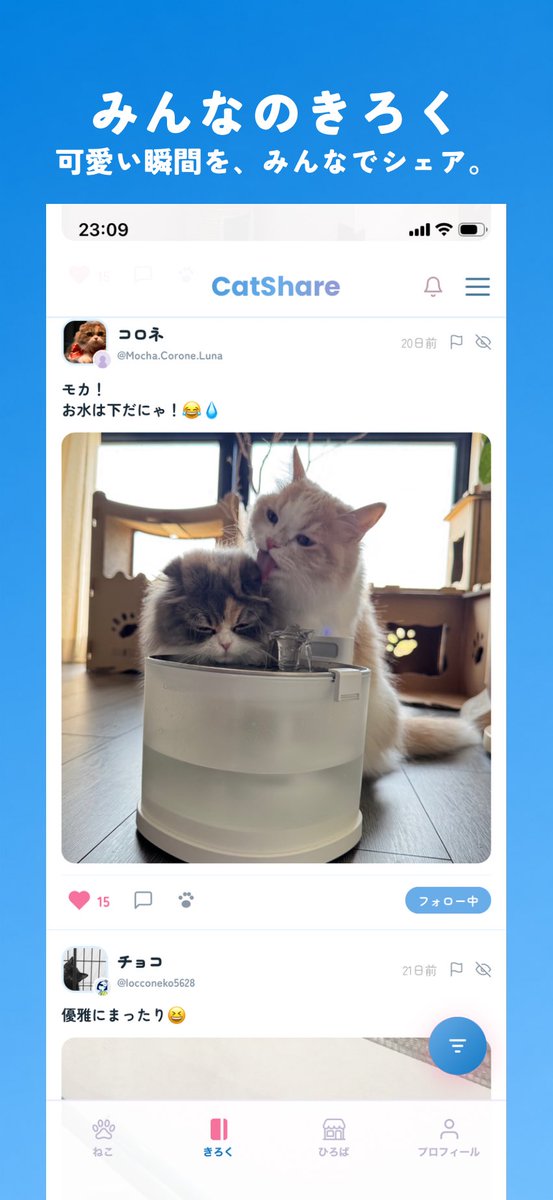 CatShare_jp's tweet photo. 猫好きのための
猫が主役の
猫だけのSNS。 https://t.co/PcyLVMQwVm