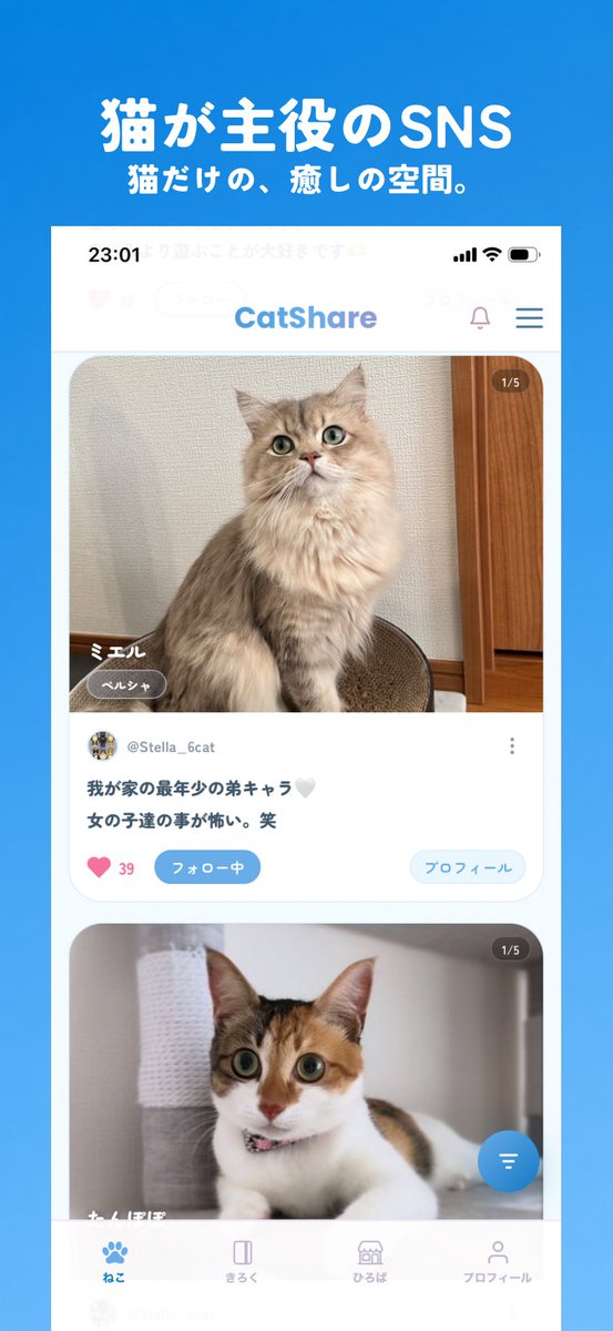 CatShare_jp's tweet photo. 猫好きのための
猫が主役の
猫だけのSNS。 https://t.co/PcyLVMQwVm