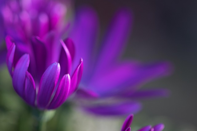 douglasjafoi's tweet photo. Some chapters end themselves and the journey keeps unfolding and 💐 I''m grateful for the little things https://t.co/0X1L6uS2TH