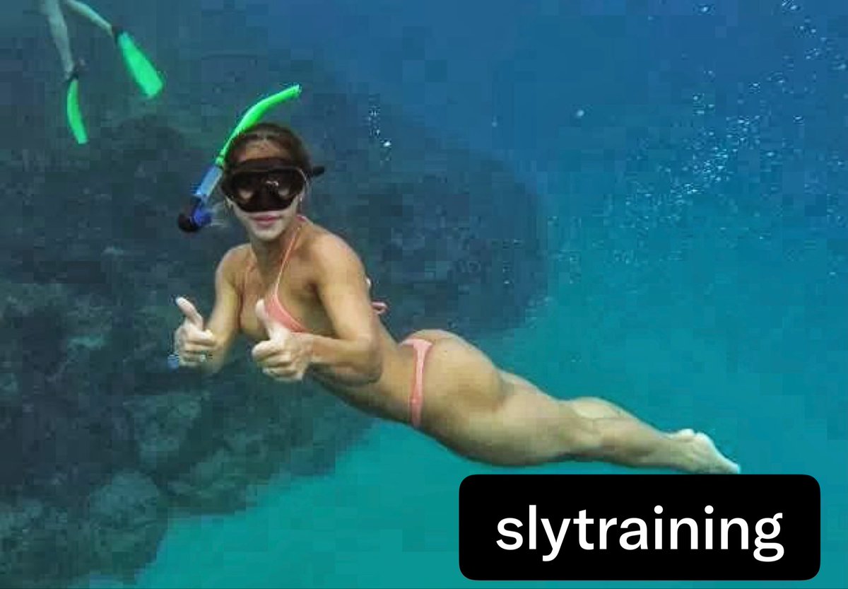 slytraining's tweet photo. Guess where we are today? https://t.co/UbXKrEk4s4
